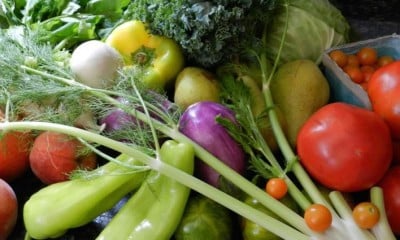 légumes verts bio